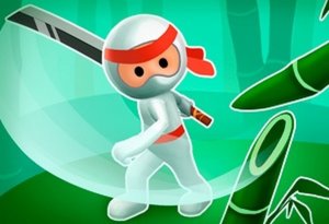 Ninja: Bamboo Shadow