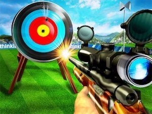 Precision Target Arcade 3D