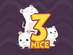 3 Mice Puzzle Game