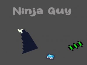 Ninja Guy Action Game