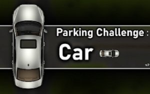 Parking Puzzle Precision Challenge