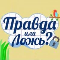 True or False Quiz Game