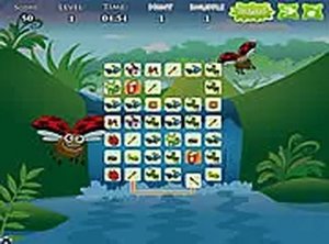 Insect Pair Match Puzzle